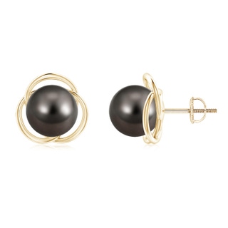 9mm AAA Tahitian Pearl Love Knot Studs in Yellow Gold