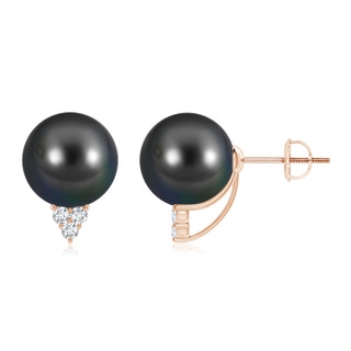 Round AA Tahitian Cultured Pearl