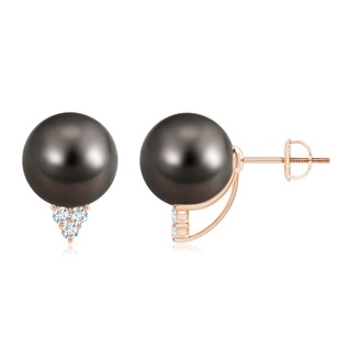 Round AAA Tahitian Cultured Pearl