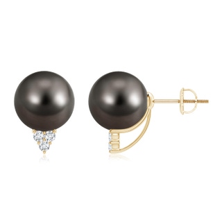 Round AAA Tahitian Cultured Pearl