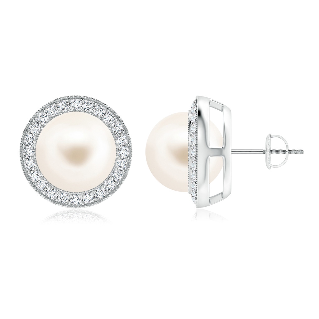 10mm AAA Freshwater Pearl Halo Studs with Milgrain in White Gold