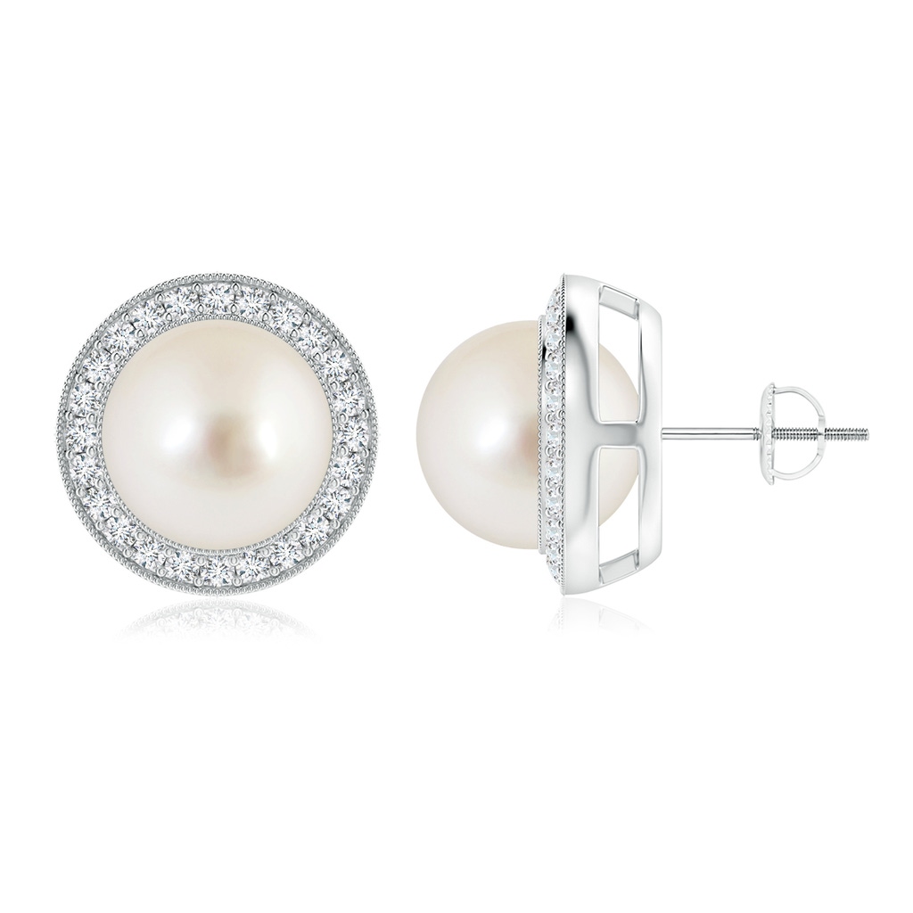 10mm AAAA South Sea Pearl Halo Studs with Milgrain in White Gold