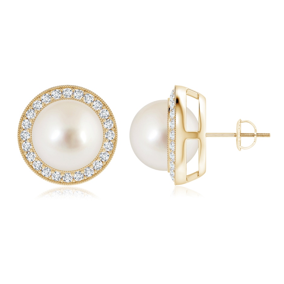 10mm AAAA South Sea Pearl Halo Studs with Milgrain in Yellow Gold 