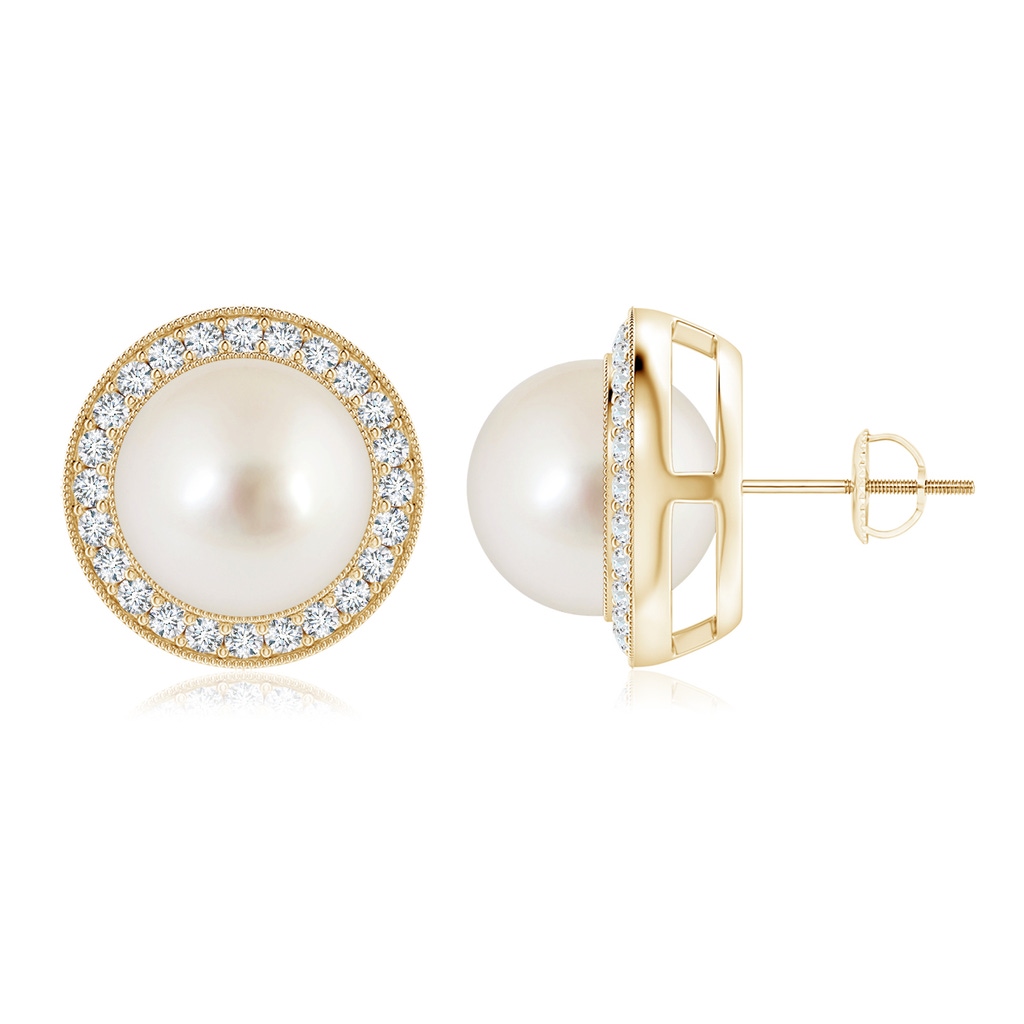 10mm AAAA South Sea Pearl Halo Studs with Milgrain in Yellow Gold