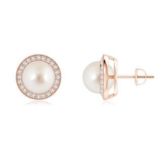 8mm AAAA South Sea Pearl Halo Studs with Milgrain in Rose Gold