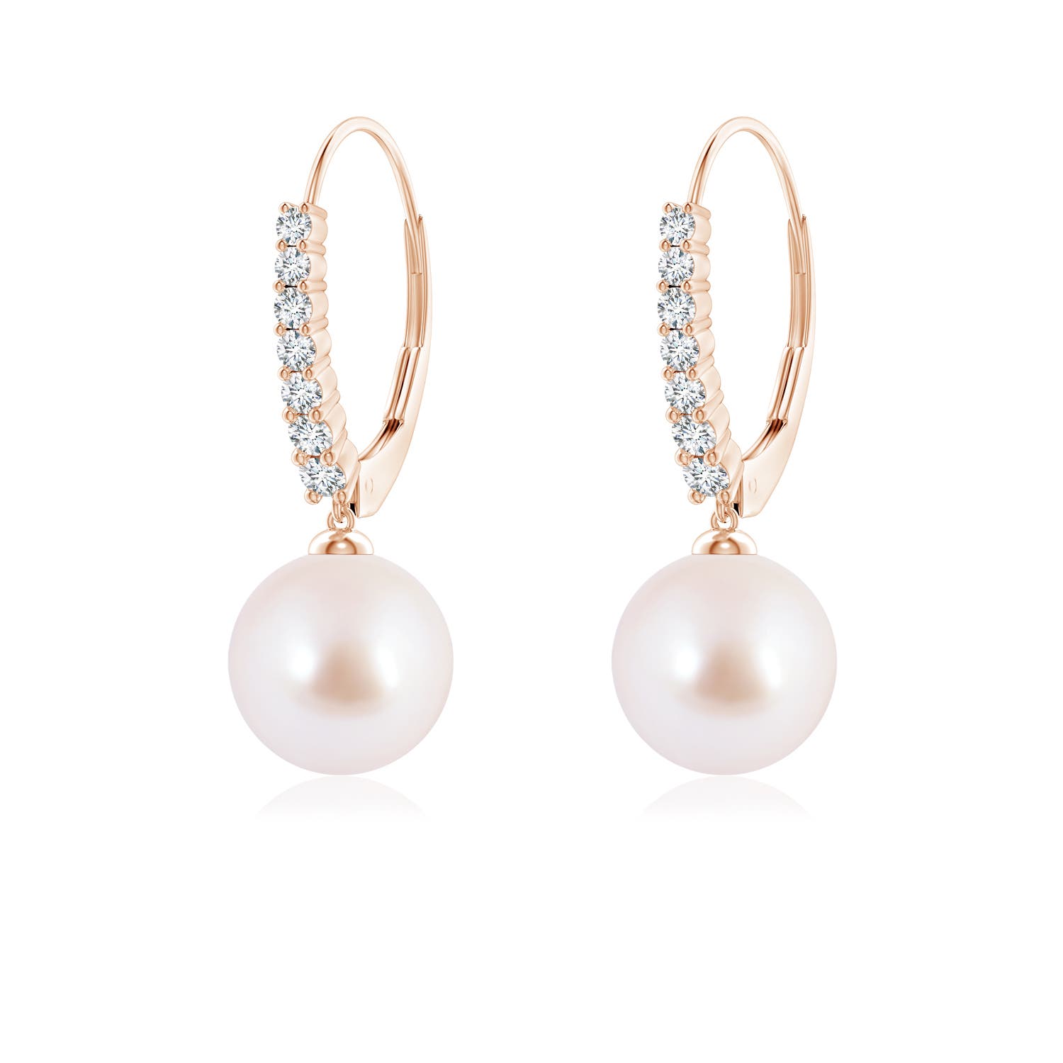 8mm AAA Japanese Akoya Pearl Tapered Leverback Earrings in Rose Gold