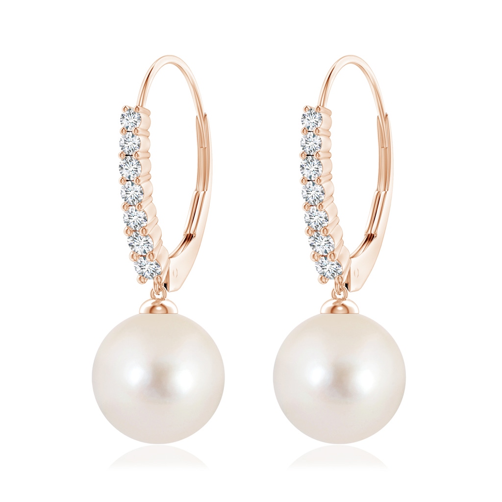 10mm AAAA Freshwater Pearl Tapered Leverback Earrings in Rose Gold