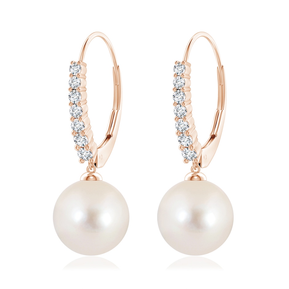 10mm AAAA Freshwater Pearl Tapered Leverback Earrings in Rose Gold 
