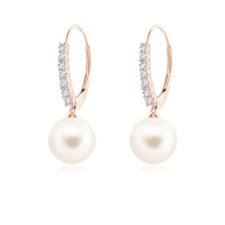 8mm AAA Freshwater Pearl Tapered Leverback Earrings in Rose Gold