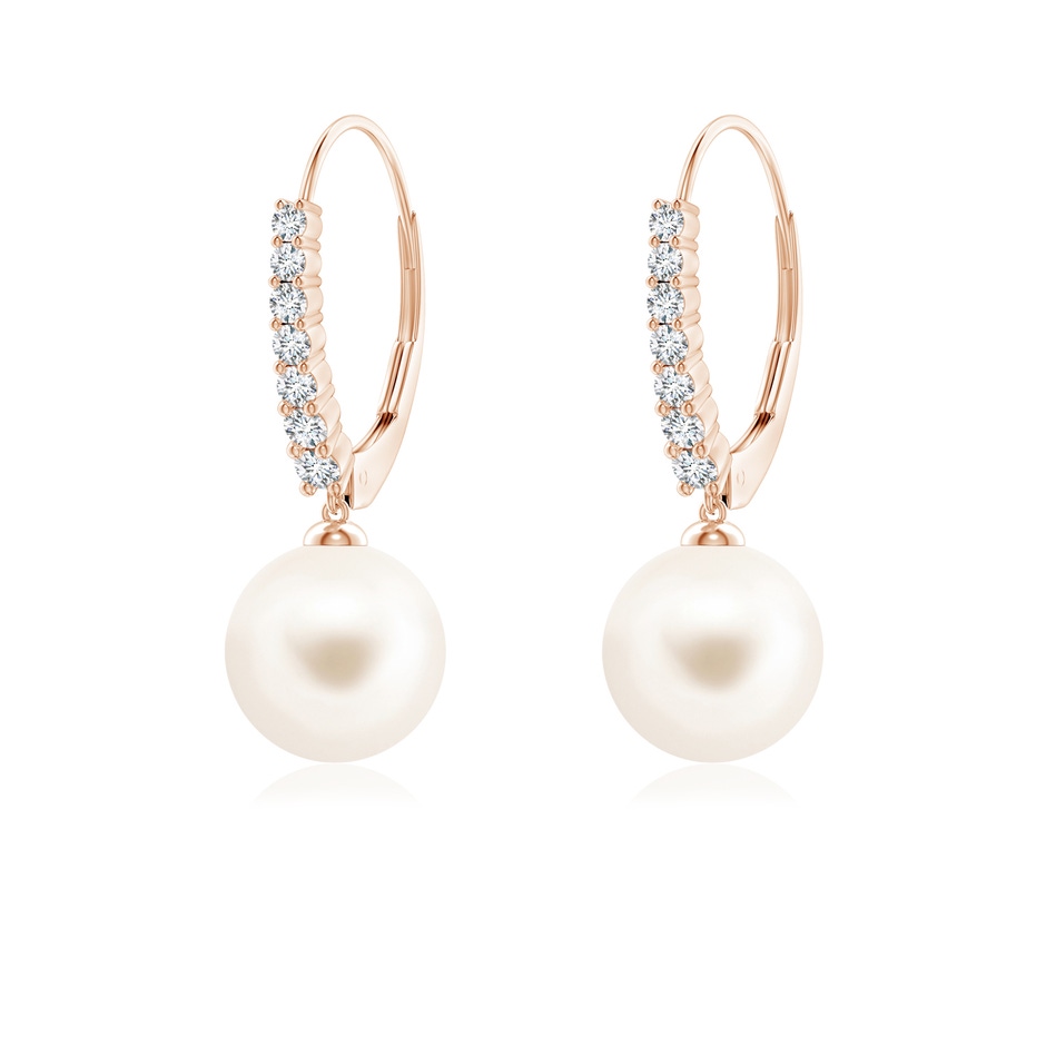 8mm AAA Freshwater Pearl Tapered Leverback Earrings in Rose Gold 