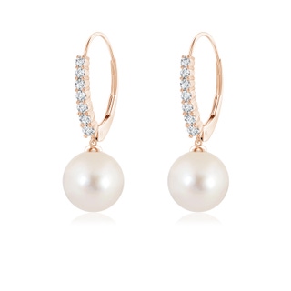 8mm AAAA Freshwater Pearl Tapered Leverback Earrings in Rose Gold