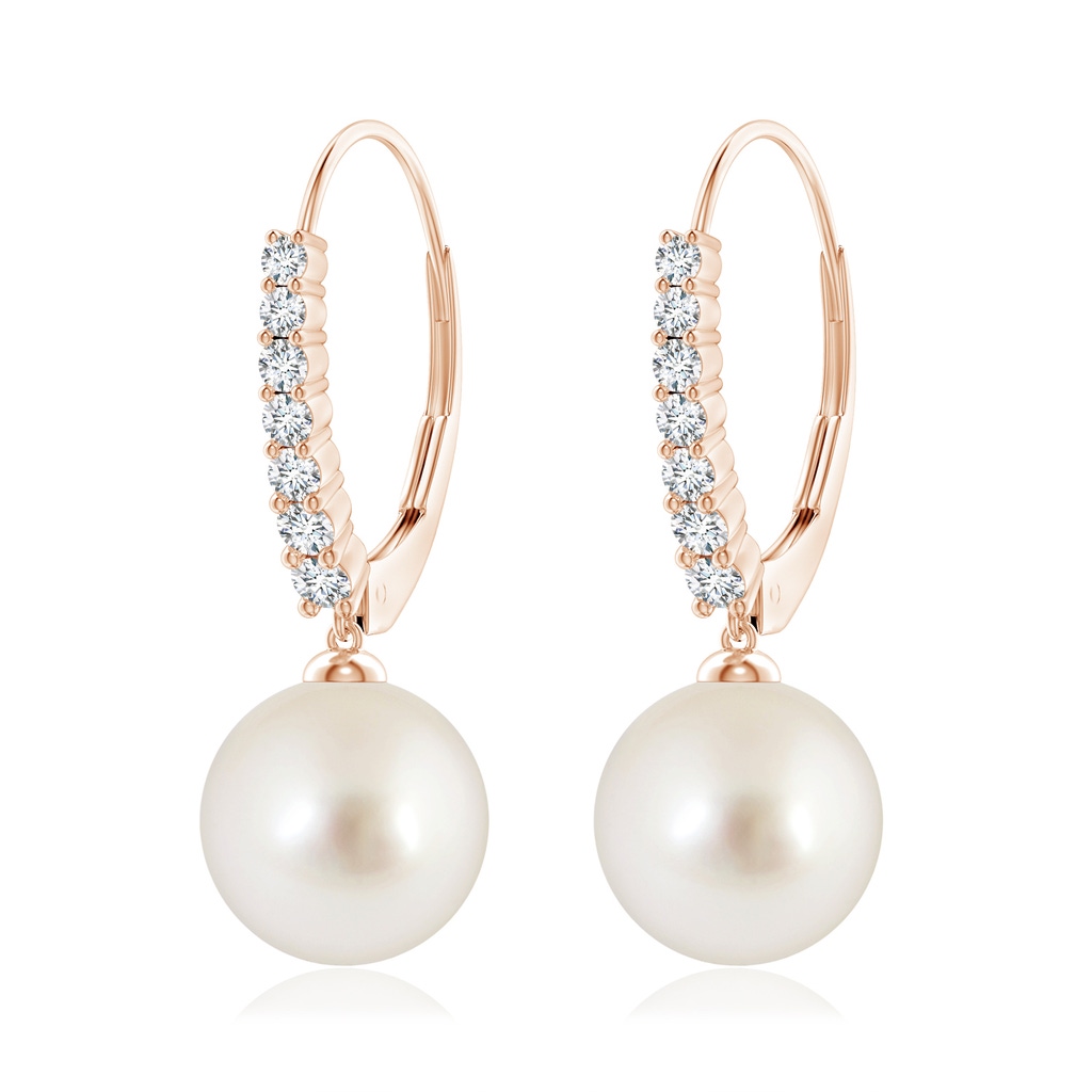 10mm AAAA South Sea Pearl Tapered Leverback Earrings in Rose Gold