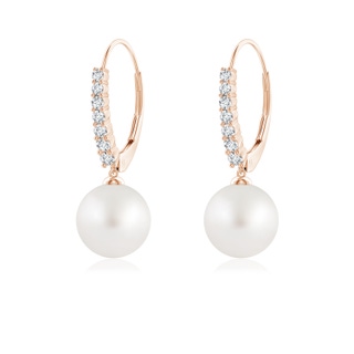 8mm AA South Sea Pearl Tapered Leverback Earrings in Rose Gold