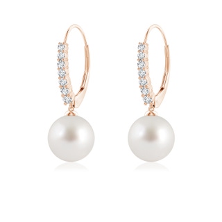 8mm AAA South Sea Pearl Tapered Leverback Earrings in Rose Gold