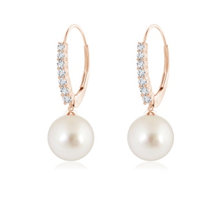 8mm AAAA South Sea Pearl Tapered Leverback Earrings in Rose Gold