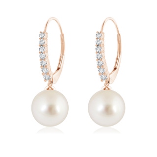 9mm AAAA South Sea Pearl Tapered Leverback Earrings in Rose Gold