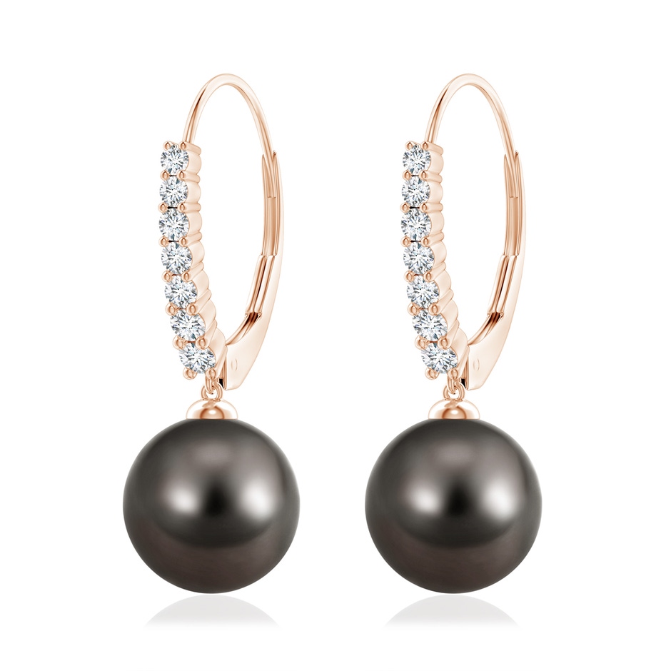 10mm AAA Tahitian Pearl Tapered Leverback Earrings in Rose Gold 