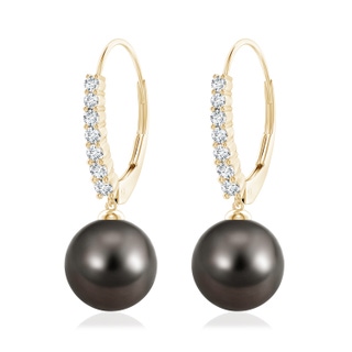 10mm AAA Tahitian Pearl Tapered Leverback Earrings in Yellow Gold