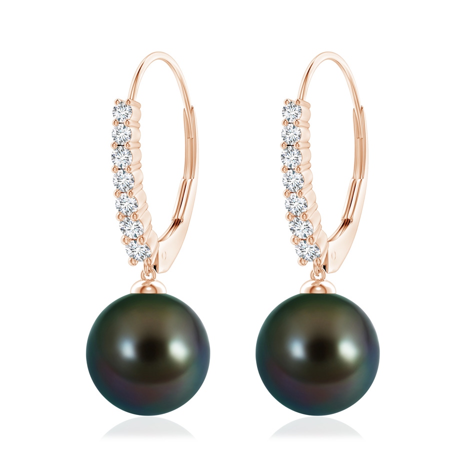 10mm AAAA Tahitian Pearl Tapered Leverback Earrings in 18K Rose Gold 