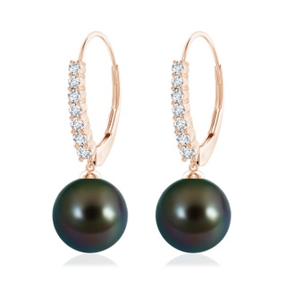 10mm AAAA Tahitian Pearl Tapered Leverback Earrings in Rose Gold