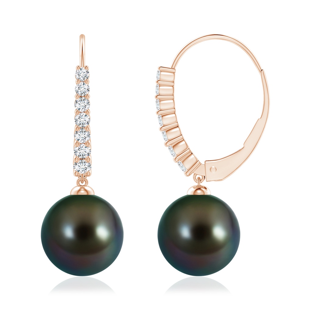 10mm AAAA Tahitian Pearl Tapered Leverback Earrings in Rose Gold - side 199