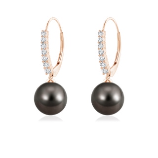 8mm AAA Tahitian Pearl Tapered Leverback Earrings in Rose Gold