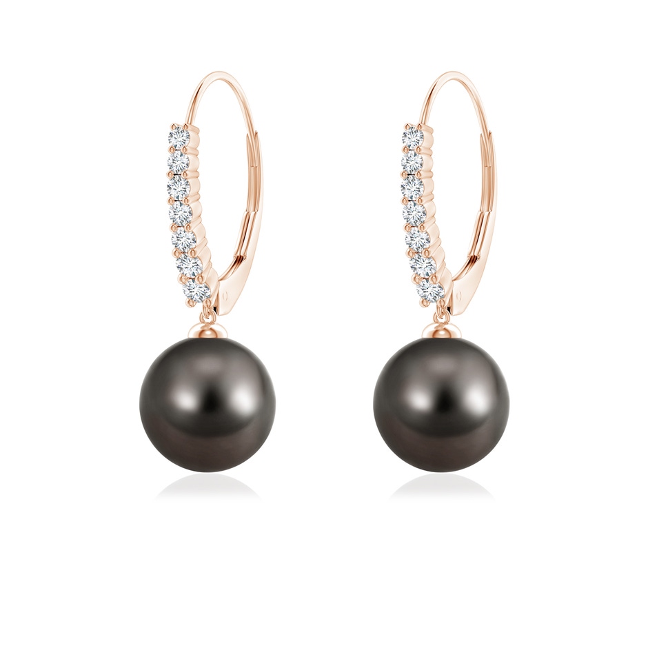 8mm AAA Tahitian Pearl Tapered Leverback Earrings in Rose Gold 
