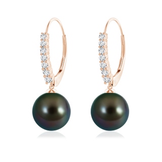 9mm AAAA Tahitian Pearl Tapered Leverback Earrings in Rose Gold