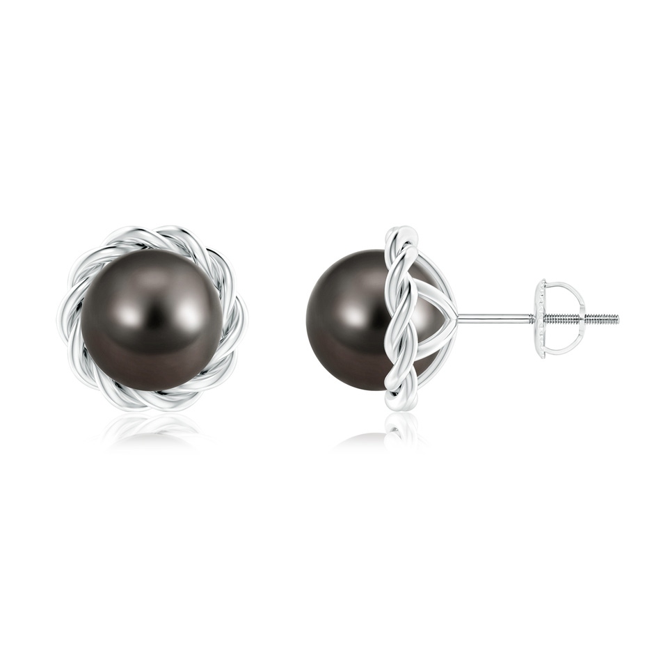 8mm AAA Solitaire Tahitian Pearl Twist Rope Studs in White Gold 