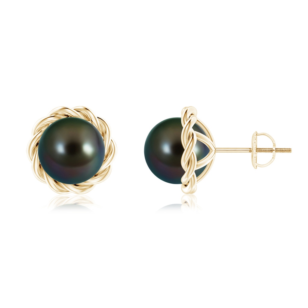 8mm AAAA Solitaire Tahitian Pearl Twist Rope Studs in Yellow Gold