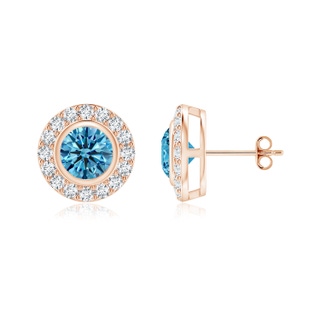 4.8mm AAAA Solitaire Bezel-Set Round Fancy Intense Blue Diamond Halo Stud Earrings in 10K Rose Gold