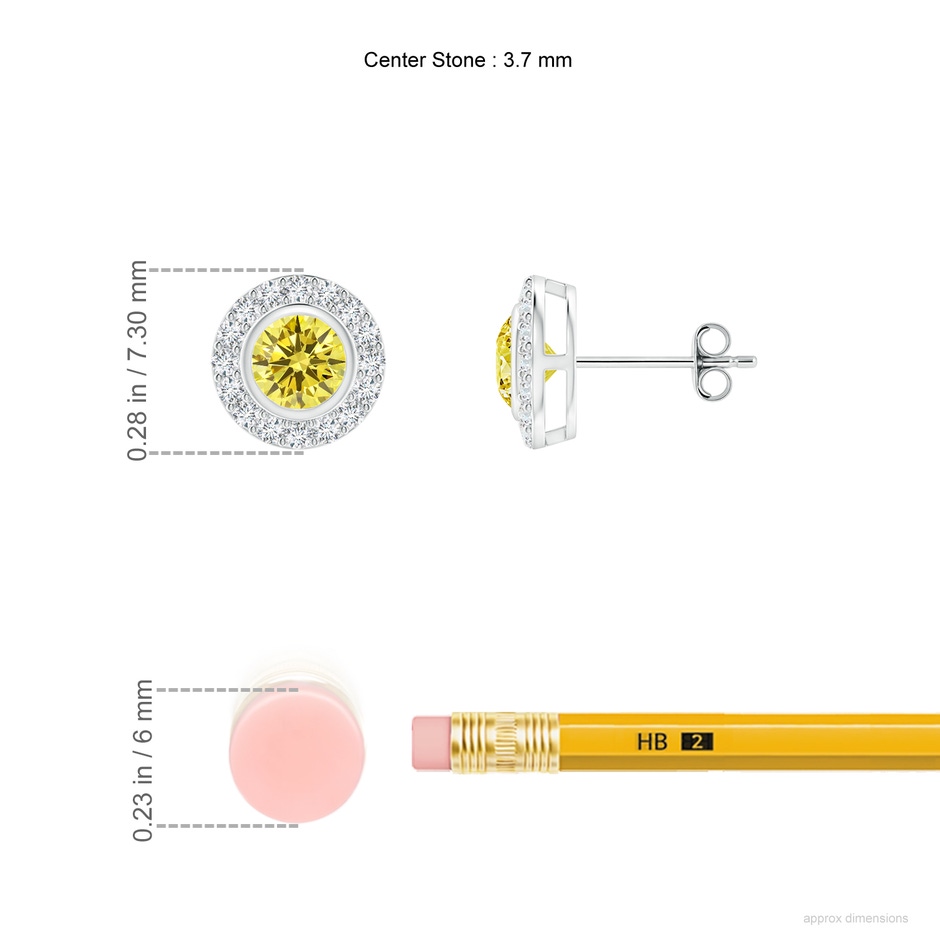 3.7mm AAAA Solitaire Bezel-Set Round Fancy Intense Yellow Diamond Halo Stud Earrings in P950 Platinum ruler