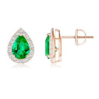 7x5mm AAA Pear-Shaped Emerald Halo Stud Earrings in Rose Gold