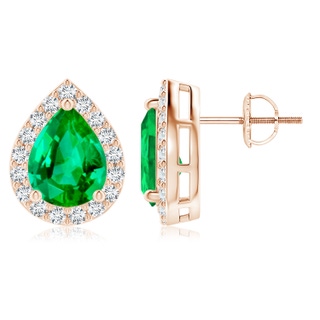 9x7mm AAA Pear-Shaped Emerald Halo Stud Earrings in Rose Gold