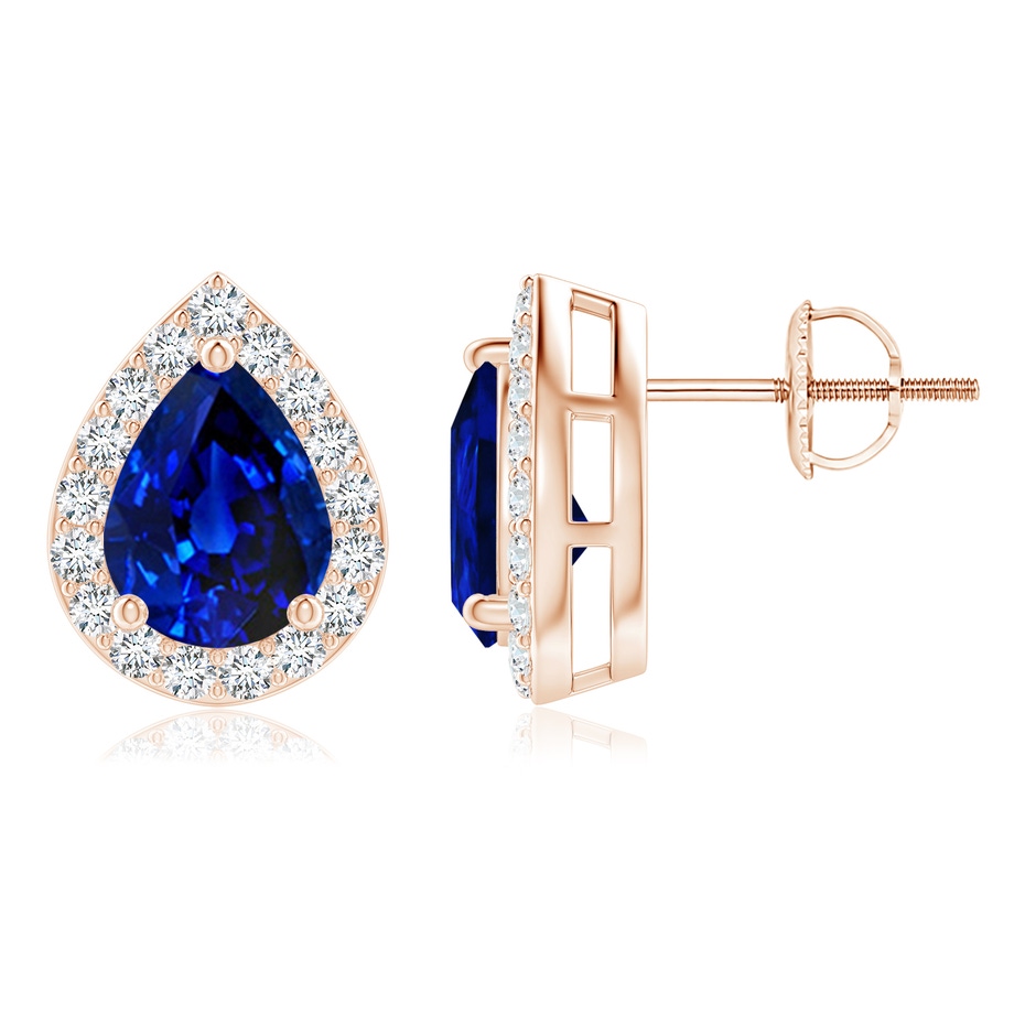 8x6mm AAAA Pear-Shaped Sapphire Halo Stud Earrings in Rose Gold 