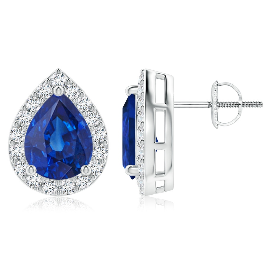 9x7mm AAA Pear-Shaped Sapphire Halo Stud Earrings in White Gold 