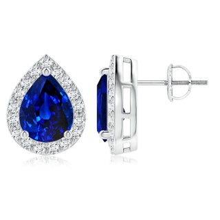 9x7mm AAAA Pear-Shaped Sapphire Halo Stud Earrings in P950 Platinum