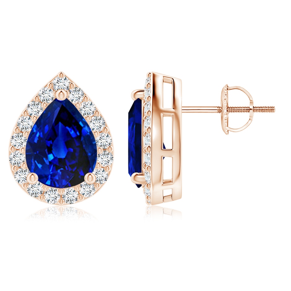 9x7mm AAAA Pear-Shaped Sapphire Halo Stud Earrings in Rose Gold 