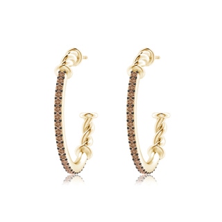 1.3mm AAA Prong-Set Round Coffee Diamond Twisted Wire Hoop Earrings in Yellow Gold