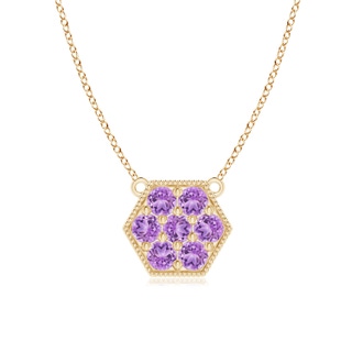 2mm AAA Pavé-Set Amethyst Hexagon Necklace with Milgrain in 9K Yellow Gold