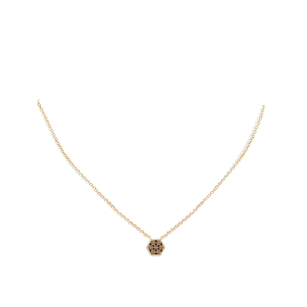 2mm AAA Pave-Set Coffee Diamond Hexagon Necklace with Milgrain in Yellow Gold Body-Neck