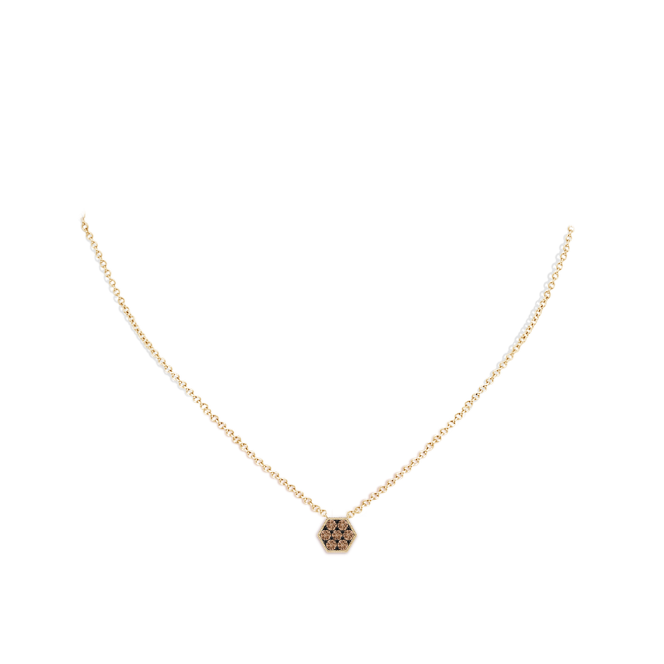 2mm AAA Pave-Set Coffee Diamond Hexagon Necklace with Milgrain in Yellow Gold body-neck