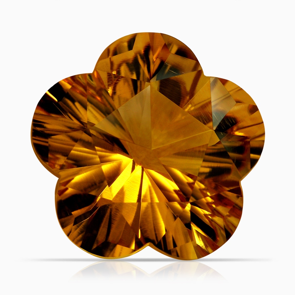 14.87x15.04x9.25mm AAAA FC_SP1901CT_H-PT-AAAA-14.87x15.04x9.25 in P950 Platinum side 699