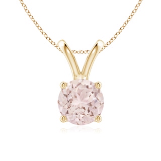 Round A Morganite