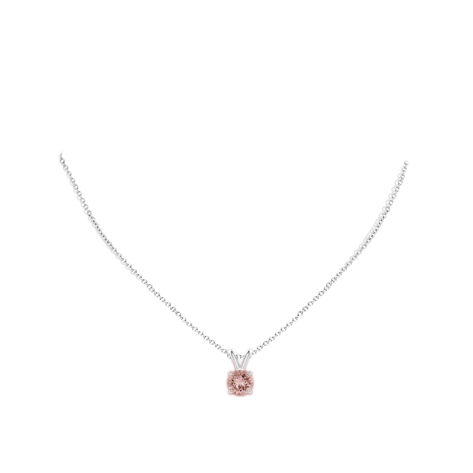 8mm AAAA V-Bale Round Morganite Solitaire Pendant in P950 Platinum pen