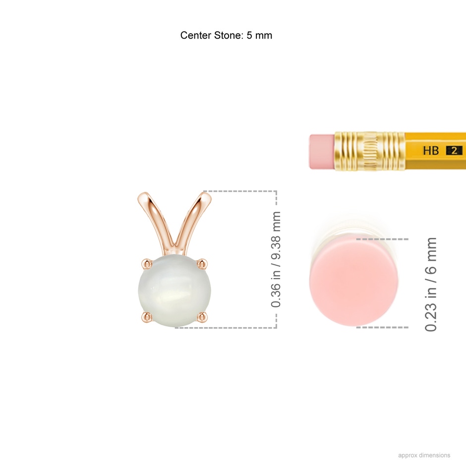 5mm AAAA V-Bale Round Moonstone Solitaire Pendant in Rose Gold ruler