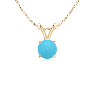 Round AA Turquoise
