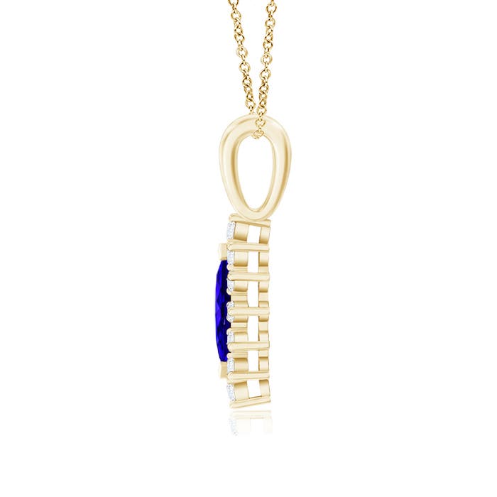 AAAA - Tanzanite / 0.67 CT / 14 KT Yellow Gold