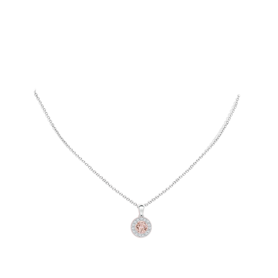 6mm AAA Round Morganite and Diamond Halo Pendant in White Gold body-neck