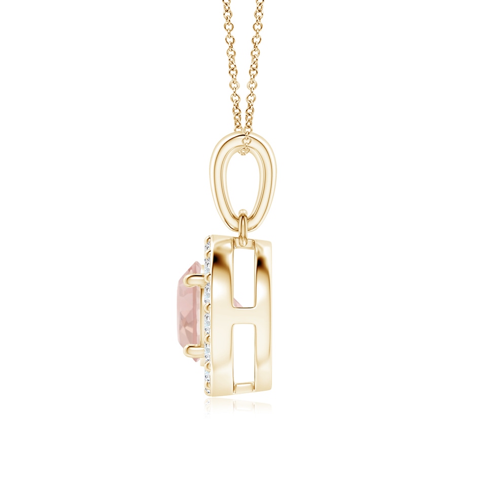6mm AAA Round Morganite and Diamond Halo Pendant in Yellow Gold side-1
